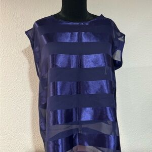 Sheer Striped Purple Top